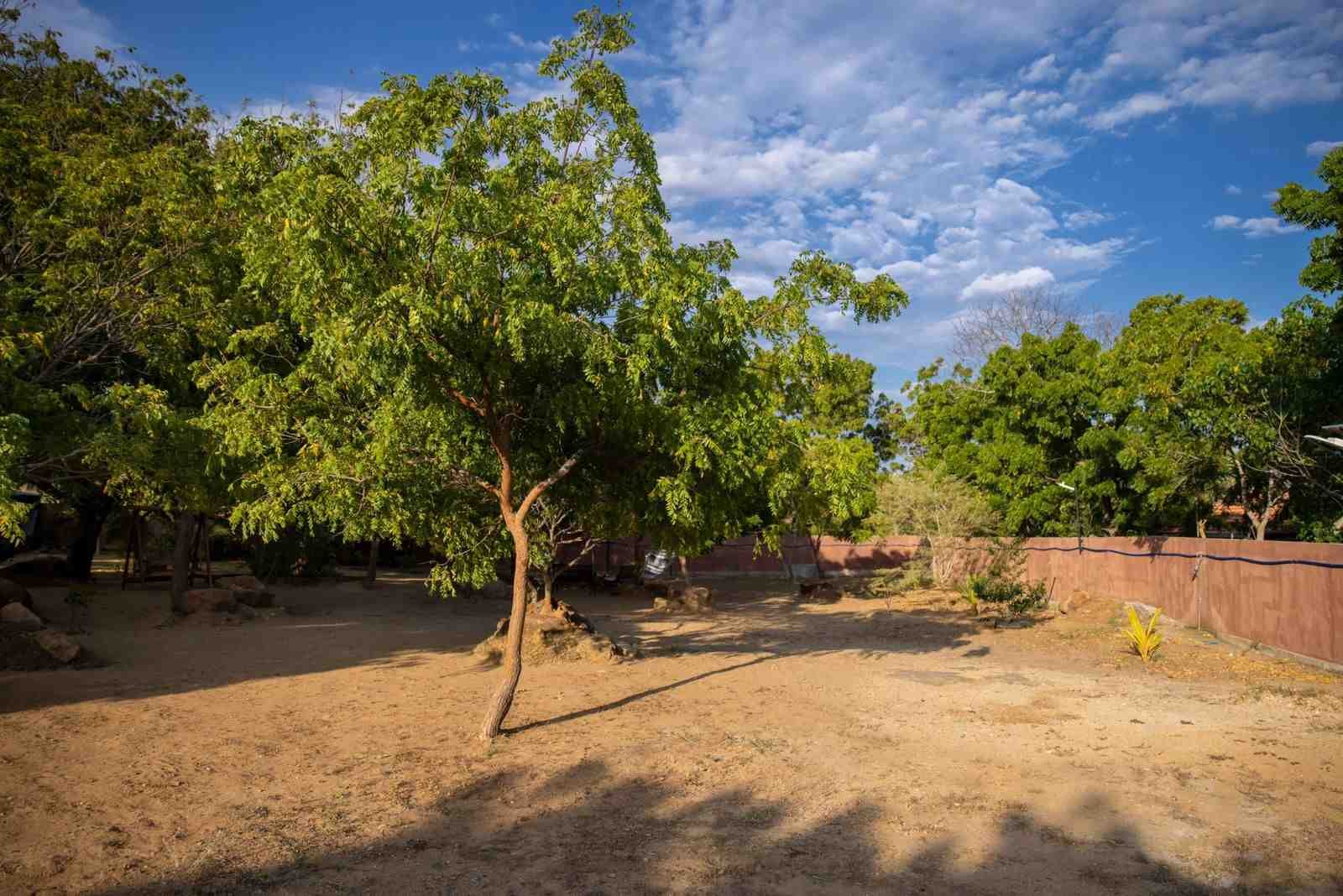 Yala villa Sri Lanka exterior view at Wilders Villa